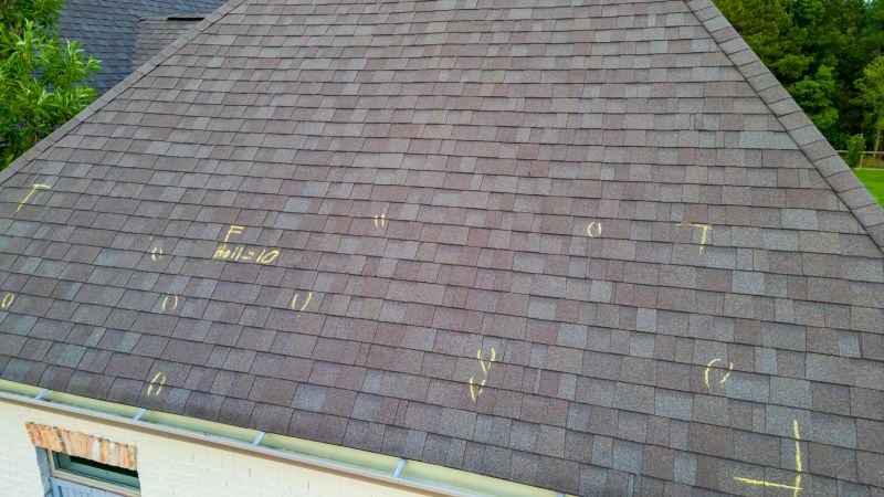 Asphalt Roof Inspection in South Solon, OH