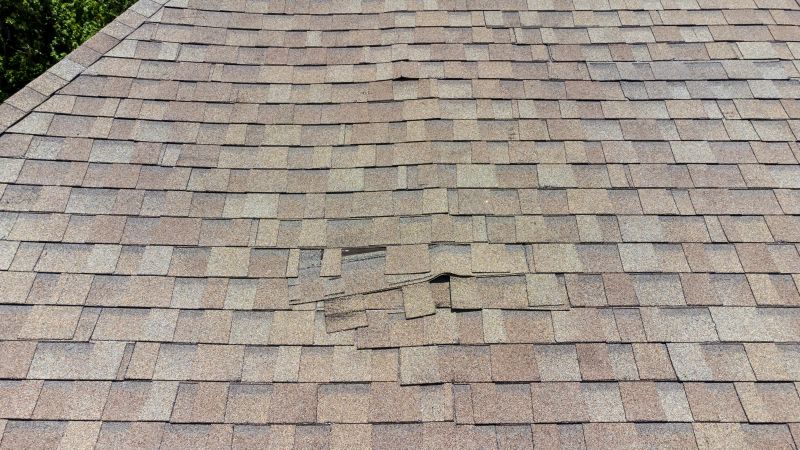 Asphalt Roof Inspection in South Vienna, OH