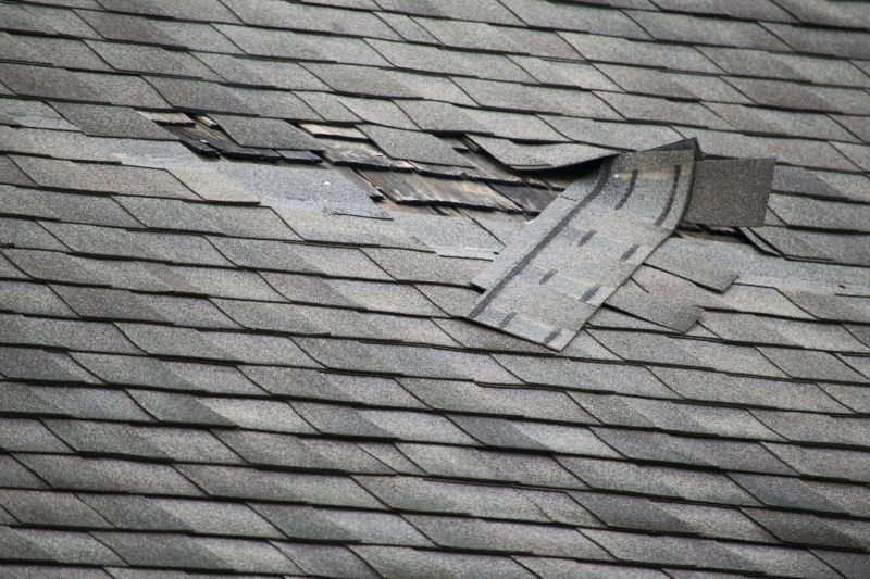 Asphalt Roof Leak Repair in South Solon, OH