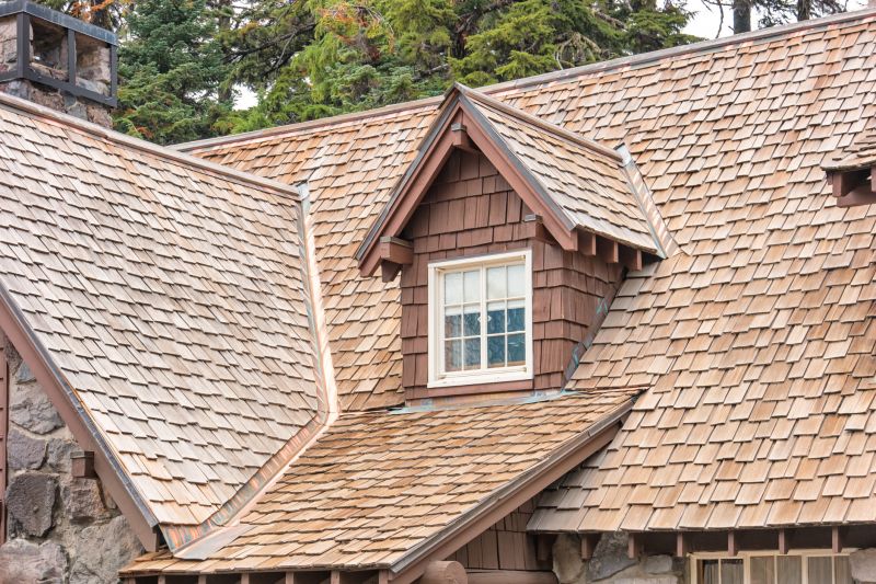 Cedar Shake Roof Repair in South Vienna, OH