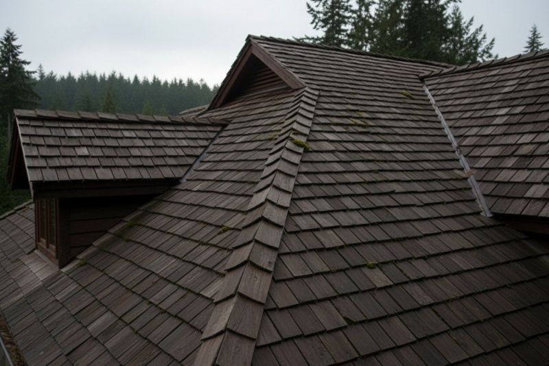 Cedar Shake Roof Replacement in Springfield, OH