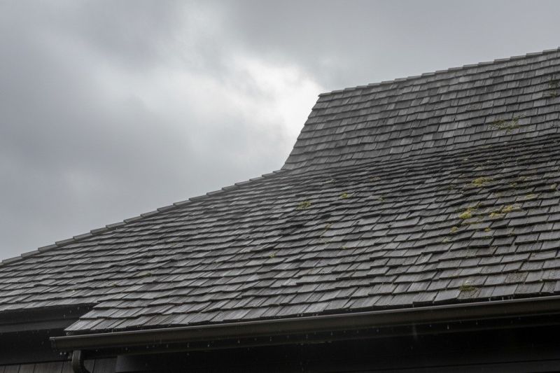 Cedar Shingles Replacement in South Solon, OH