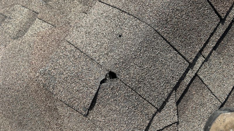 Damaged Roof Repair in South Solon, OH