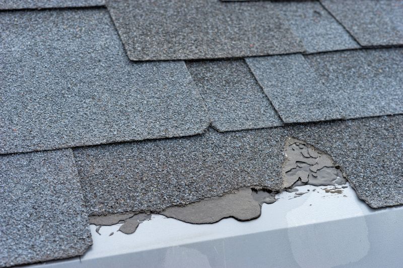 Damaged Roof Repair in South Solon, OH