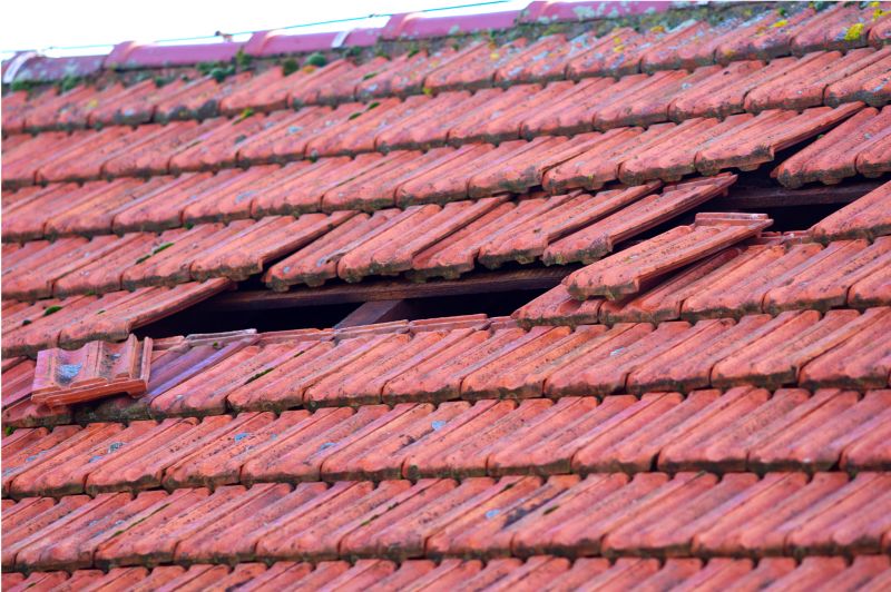 Roof Damage Inspection in South Vienna, OH