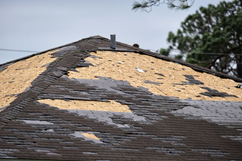 Roof Damage Repair in Xenia, OH