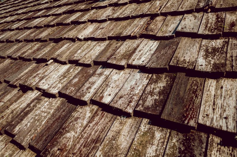Shake Roof Replacement in South Solon, OH