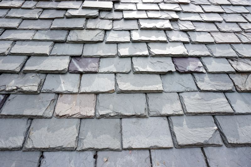 Slate Roof Repair in South Vienna, OH