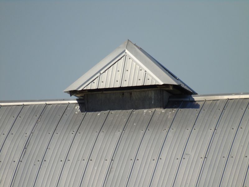 Tin Roof Installation in Greene County, OH